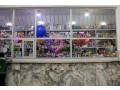 party-time-trading-llc-al-ras-deira-small-0