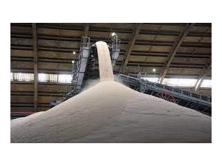 200 tonnes brazilian sugar required - emirats arabes unis