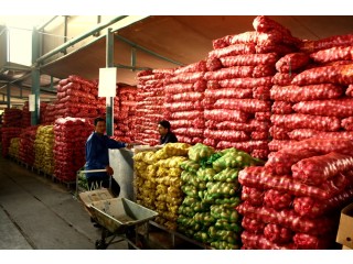 Agri-food wholesale - United Arab Emirates
