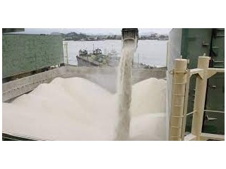 200 tonnes brazilian sugar required