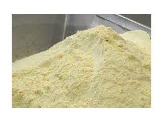 Milk powder - United Arab Emirates