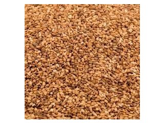 Search grain buyers - United Arab Emirates