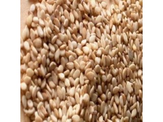 Céréales et Épices- United Arab Emirates