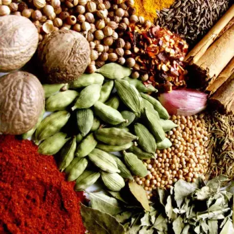 SHABISTAN SAYYAD Foodstuff Trading LLC